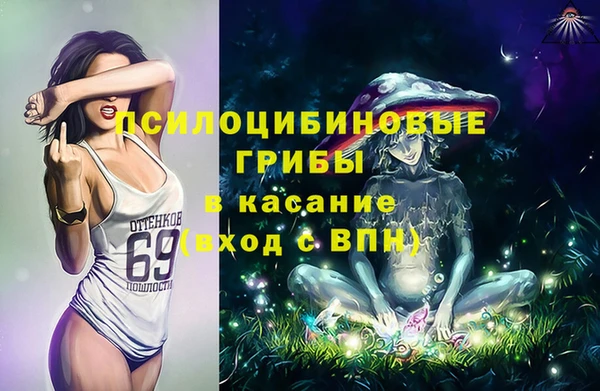 гидропоника Алзамай